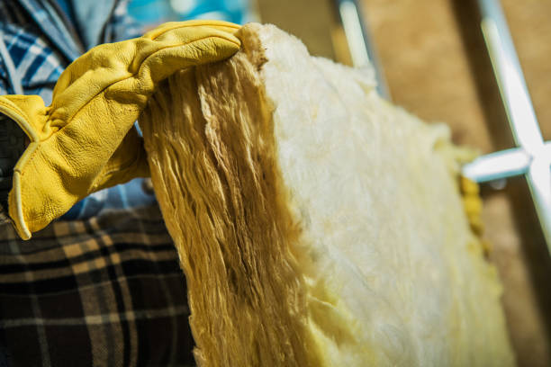 Best DIY Insulation Kits and Guidance in Nahunta, GA