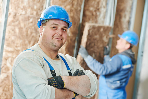 Professional Insulation Contractor in Nahunta, GA
