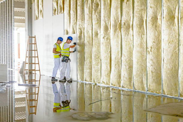 Best Spray Foam Insulation in Nahunta, GA
